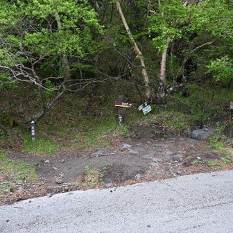 吉田ルート五合目到着。
この上が佐藤小屋ですね。