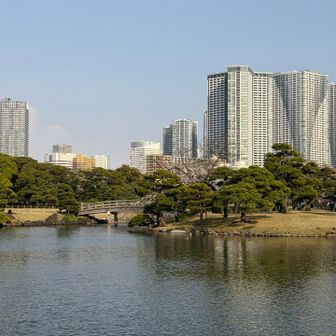ビルと庭園の対比がいいですね
