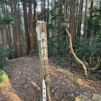 キツイのは覚悟してたがやっぱりキツかった😰

あとはある程度楽😮‍💨