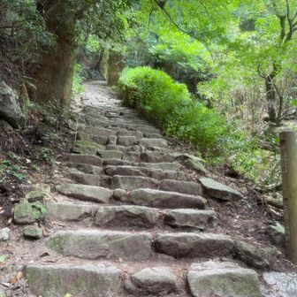 今日も往路でがんぎダッシュ🏃‍♂️
RUN移動と暑さで途中から1段ごとに😂