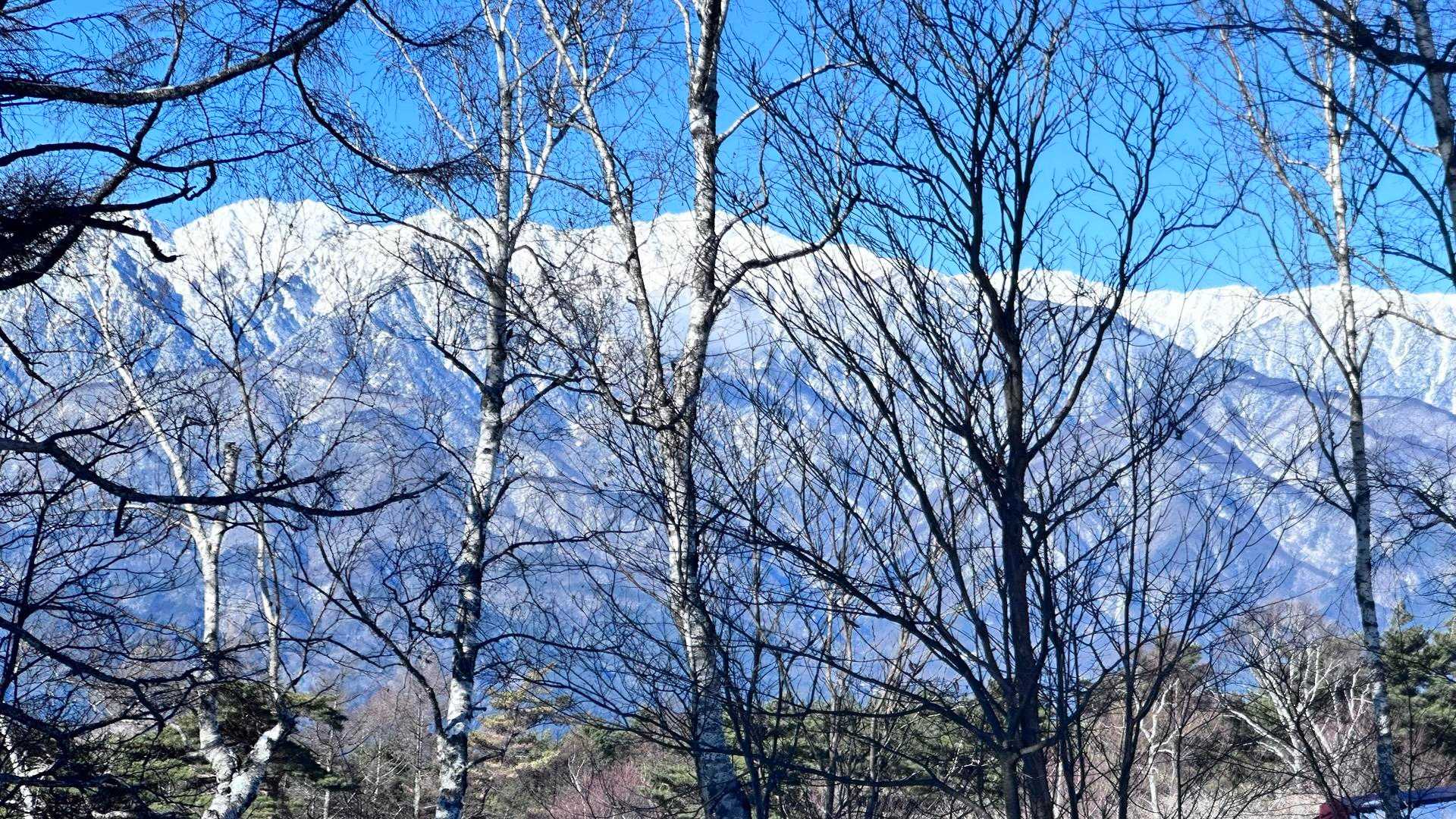 陣馬形山 往復コースの写真
