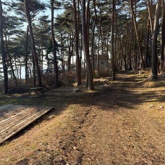 北侍浜のキャンプ場