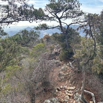 下山開始。この先に見える馬の背楽しい。左右が切り立っているので高いところが怖いひとは大変そう