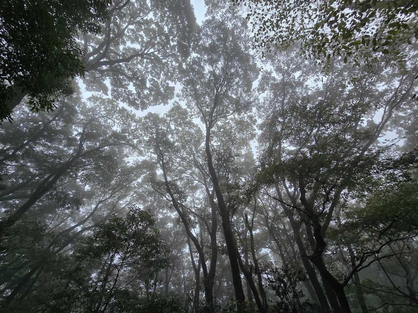 幻想的な世界です✨