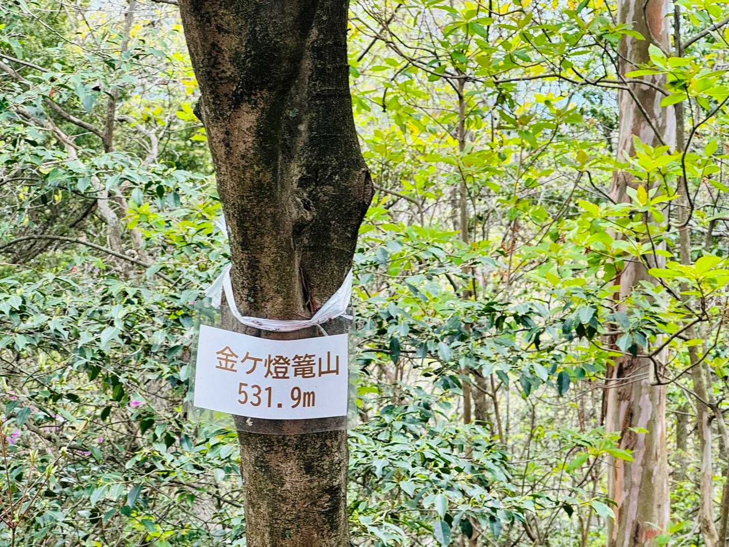 ゆるぎ観音-赤穂峠-城山-金ヶ燈篭山 周回コースの写真