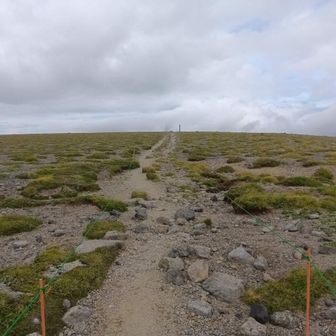 平らな登山道の先には間宮岳の標柱見えます
これだけの平坦な頂上は珍しい
ピーク何処でもいいんじゃねぇ