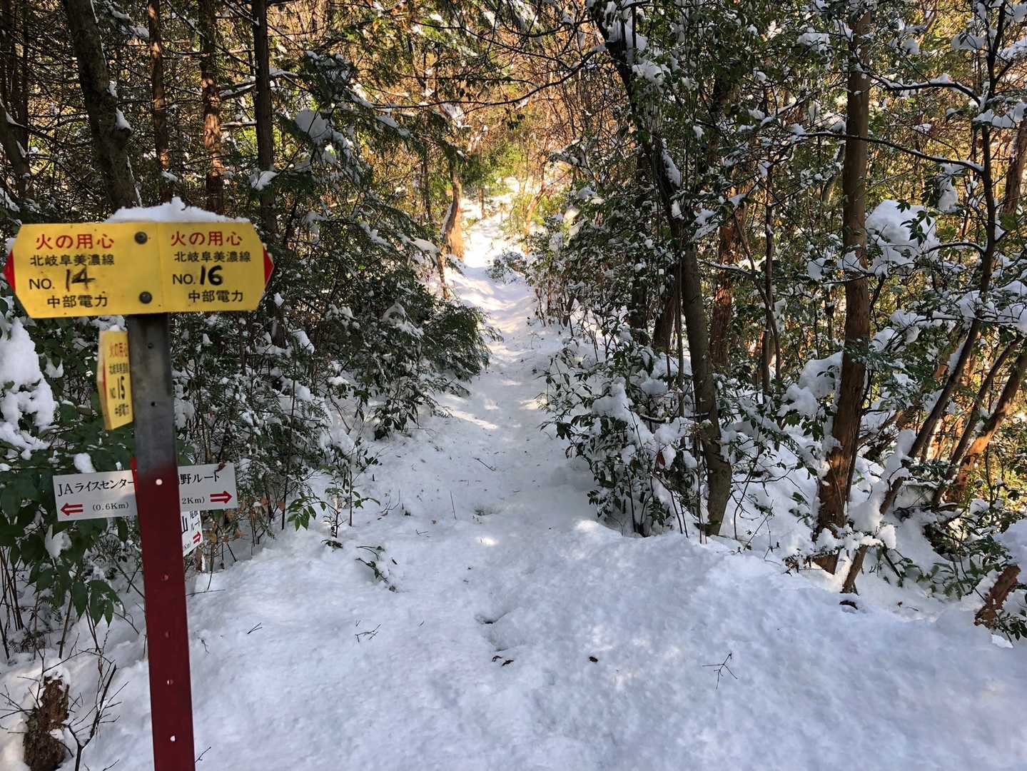誰も歩いてないとこ行きます。
