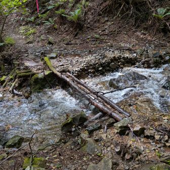 ここを渡ると沢から離れて本格的な登りとなります