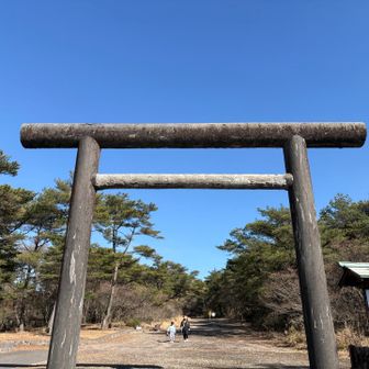 後半戦は藪漕ぎに苦戦しましたが何とか出発地点の鳥居まで無事に帰って来れました😅

ありがとうございました🙏