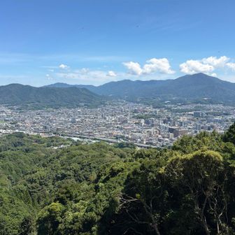 山頂から　　対面には太宰府天満宮⛩️、令和の里坂本八幡宮