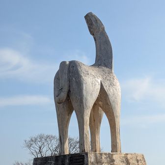 陣馬山　かわいい女性が一人いました👩‍🦰