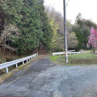 左のガードレール付近をよく見てみると…