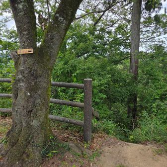 富士山の山名プレート右奥にある階段から、小藪山目指します‼️