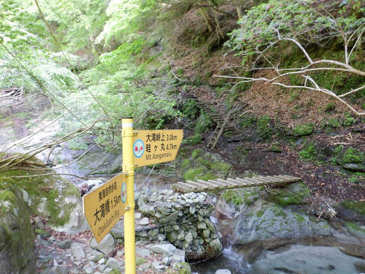 橋。こういった橋がたくさんあり、水面まで高さがあるとちょっと怖い。その先の道も湿って滑りそうで怖い。