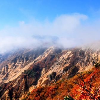 野谷荘司山方面