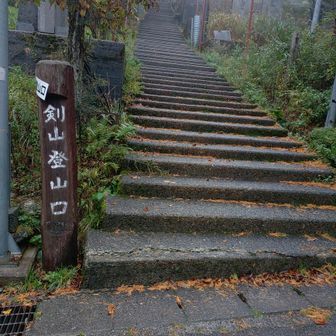 此処から 🚶