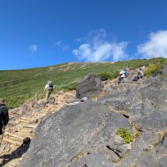大勢の登山者が登っていく