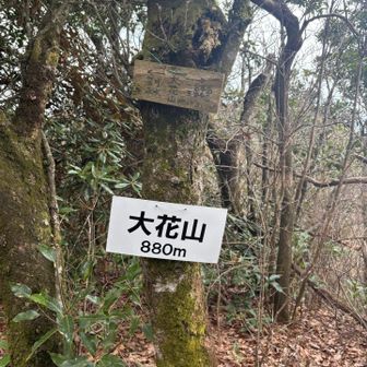 グレーの山も頑張ろう！