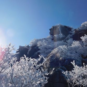 天狗ヶ城
また来ます❄