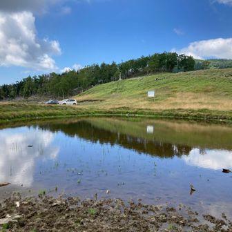 水がキレイなので、角度によってはなかなかイイ感じの写真が撮れました(^^)