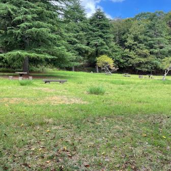 ヤング広場