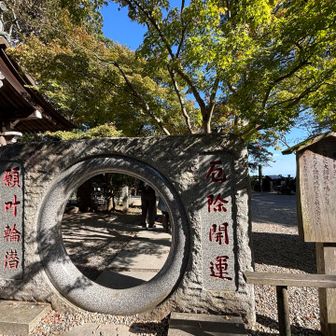 願いが叶う輪潜り