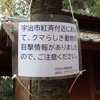 
クマらしき動物の目撃情報⚠️