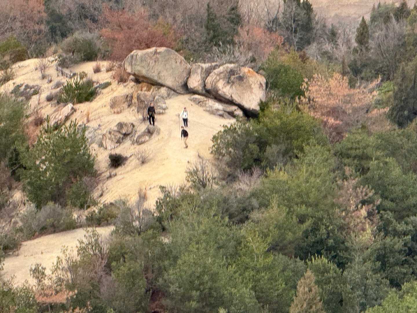 野々瀬下登山口-笠松山 往復コースの写真