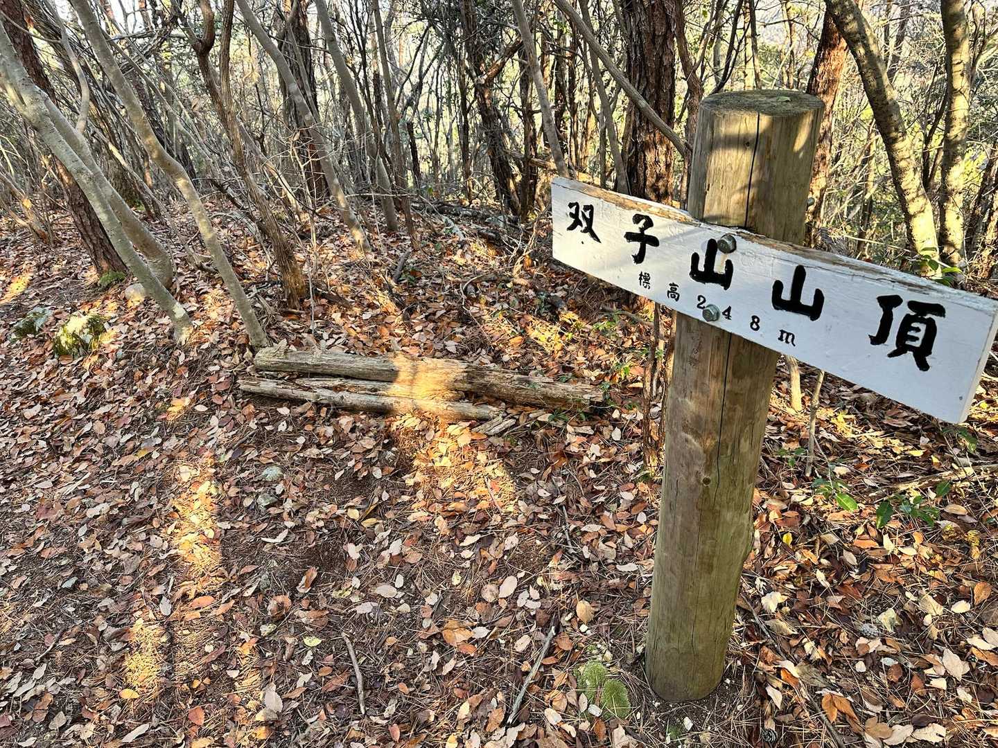 双子山は山頂と言うよりは通過点みたいな感じ
