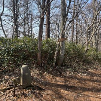 軽く降りて登り返して
実はこの付近の最高標高
お疲れ様です