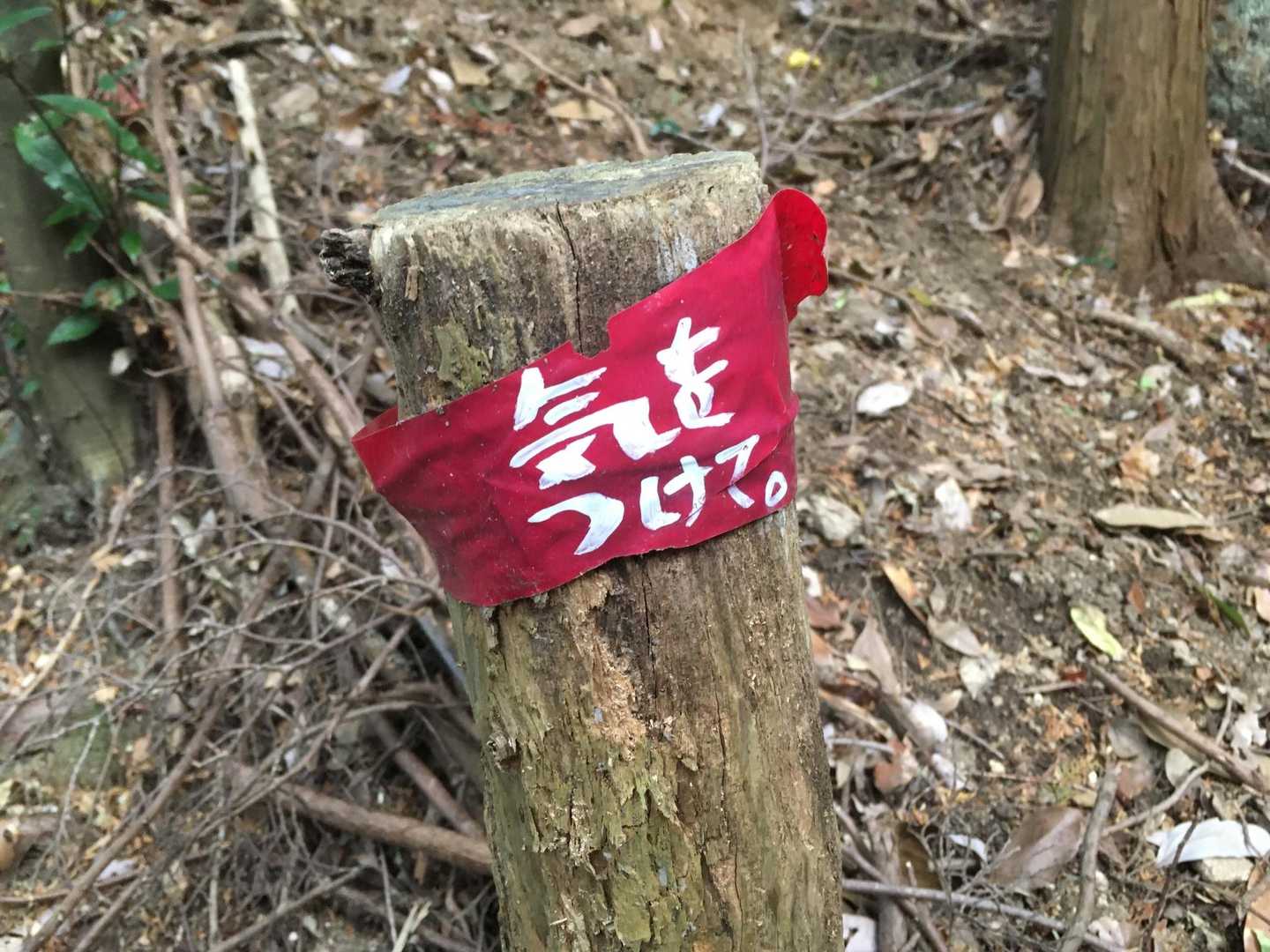 下山時にみつけました。気をつけます！