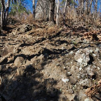 生瀬富士から南に下り始めるところ。
とても急です。
