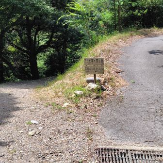 右の林道を進みます