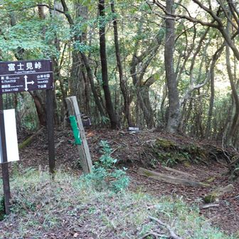 下山中。富士見峠まで戻ってきた