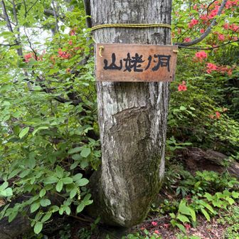 今までうっかりやった