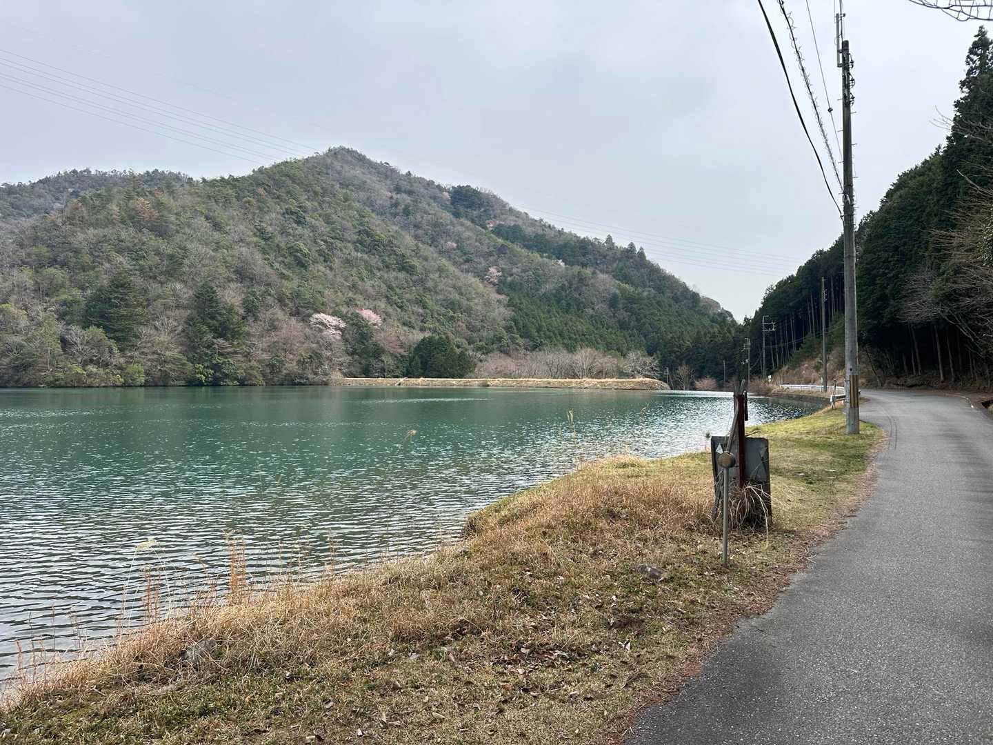 コンパクトな周回コースでしたが七種山山頂以降ひたすらアップダウンの連続で結構体力いるコースで楽しめました🤗