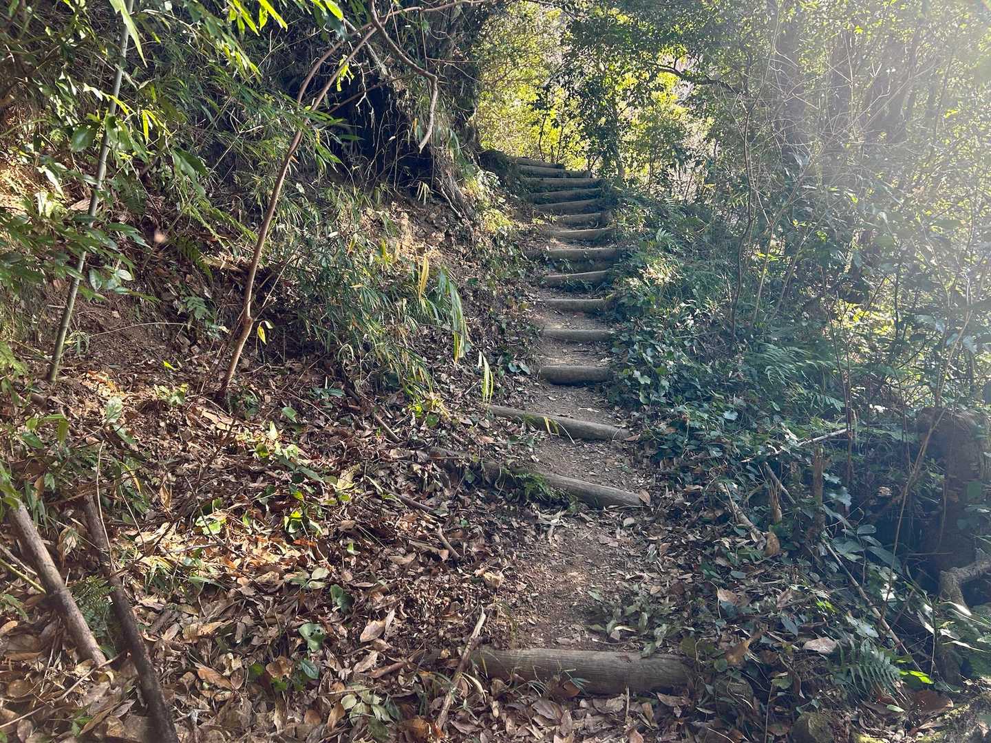 階段〜