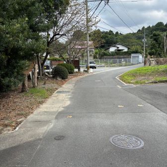 駐車場が見えて来ました。