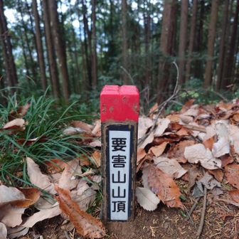 要害山山頂です
眺望は無し!