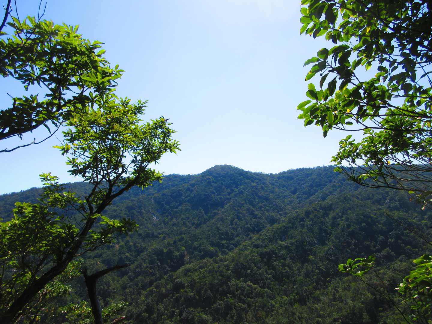 音羽バス停-岳山-岩阿沙利山-嘉嶺ヶ岳-寒風峠-北小松登山 縦走コースの写真