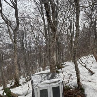 やったー高尾山🙌