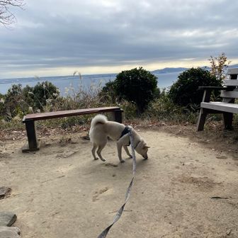 スンスン、スン活w