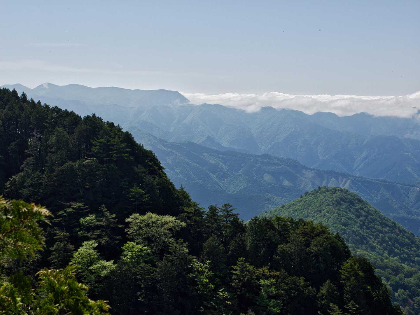 大台ケ原
