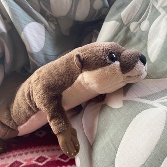 カワウソさくら