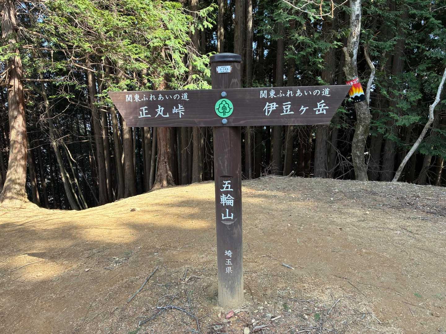 今回最後のピーク五輪山⛰️
正丸駅まで下山して芦ヶ久保駅まで電車で戻りました🚃