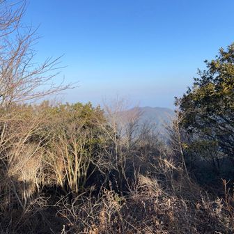 景色はこんな感じ