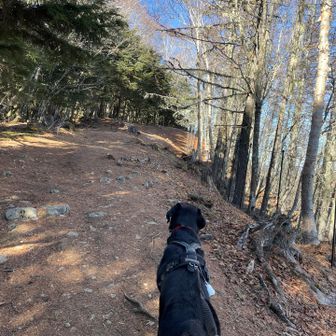 ずっと歩き易い道