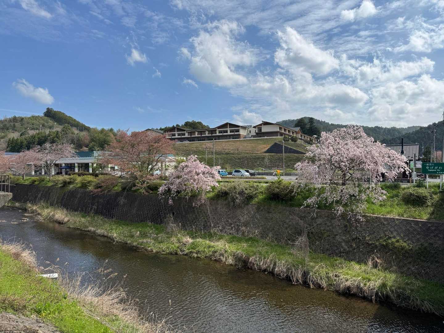 城山 往復コースの写真