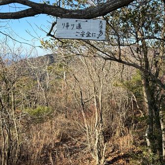 ありがとうございます😊