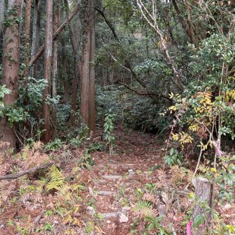 車道をでたところで、道を間違えて、戻る
